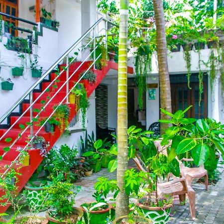 Sigiri Tarushan Home Stay Sigiriya Exterior foto